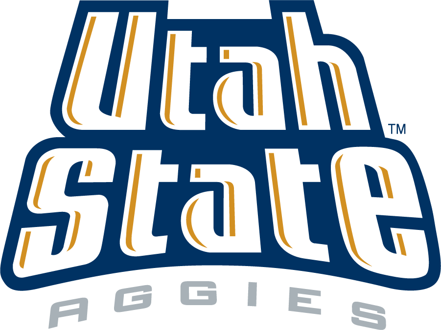Utah State Aggies 1995-2001 Wordmark Logo v2 t shirts iron on transfers